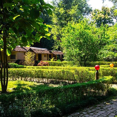Wild Planet Eco Retreat Hotel Bardiya Exterior photo