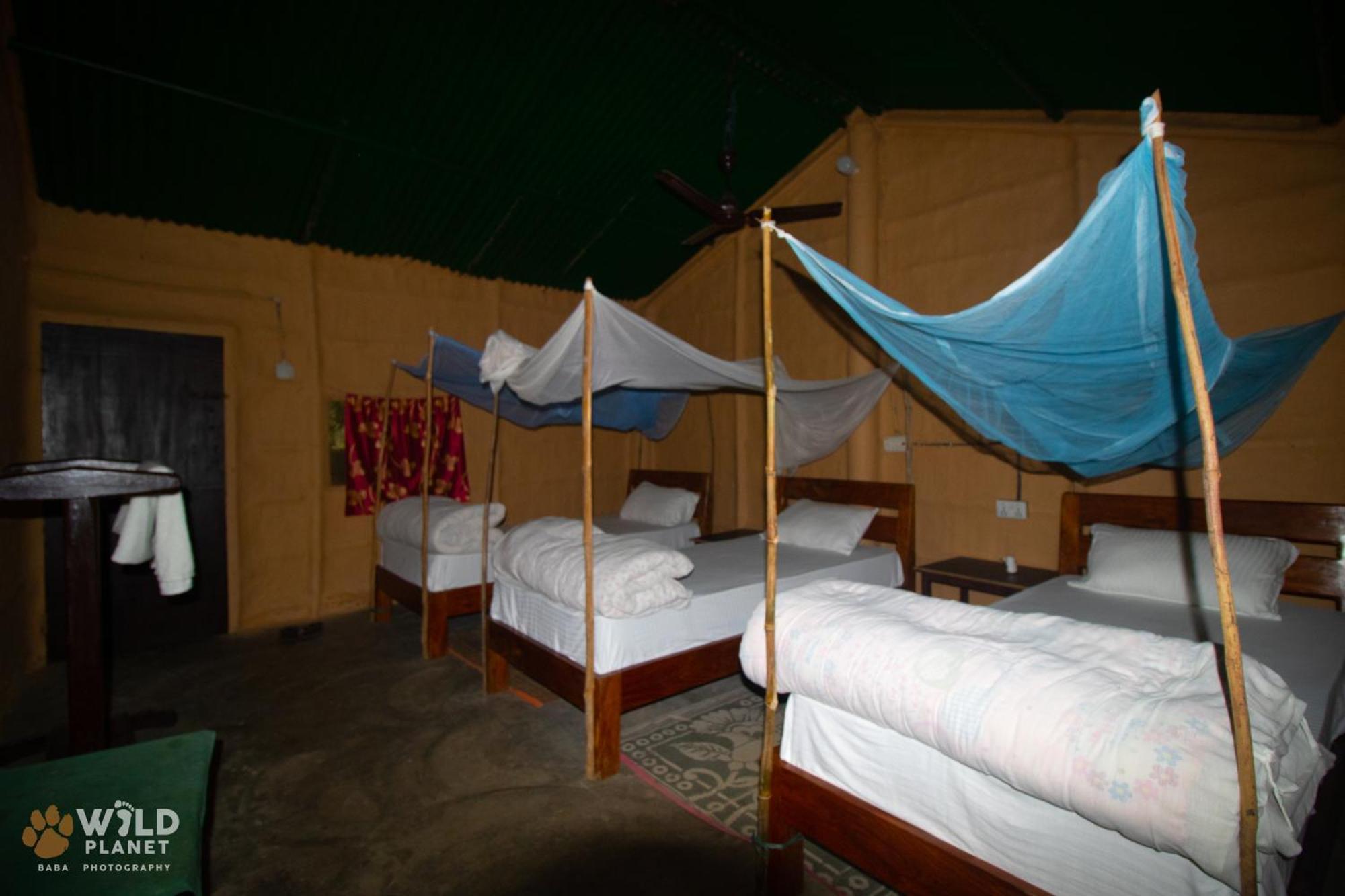 Wild Planet Eco Retreat Hotel Bardiya Exterior photo