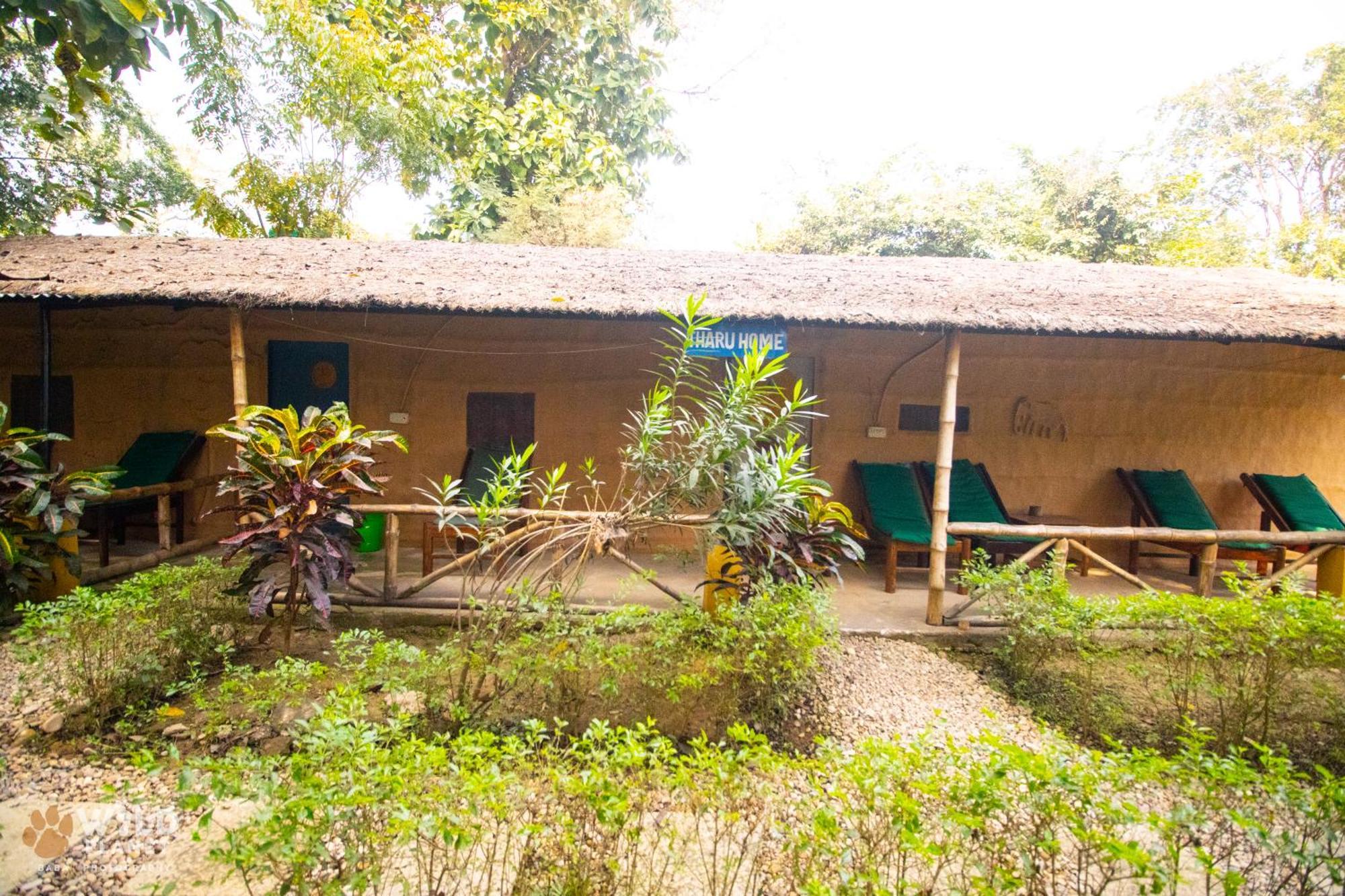 Wild Planet Eco Retreat Hotel Bardiya Exterior photo