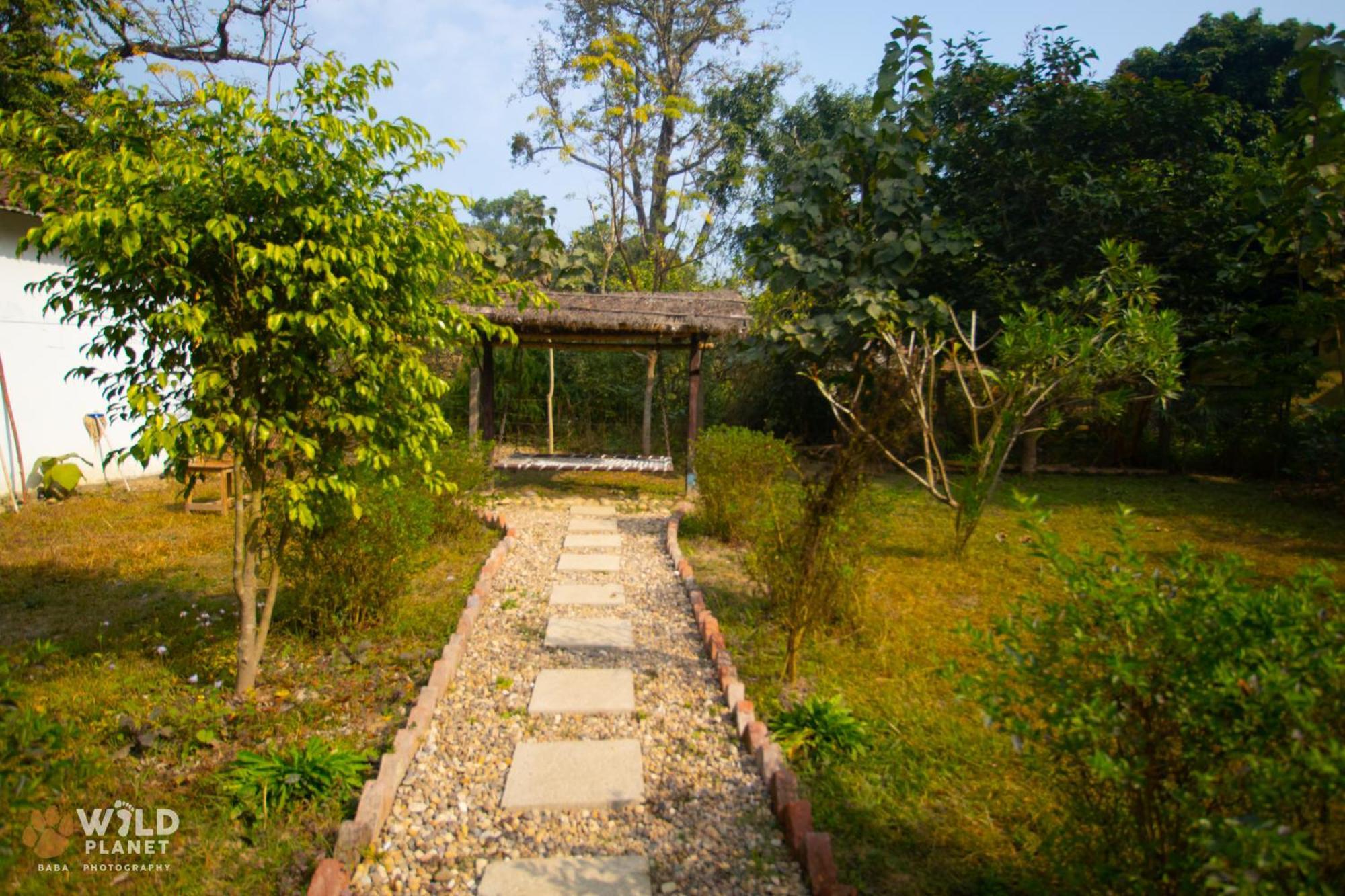 Wild Planet Eco Retreat Hotel Bardiya Exterior photo