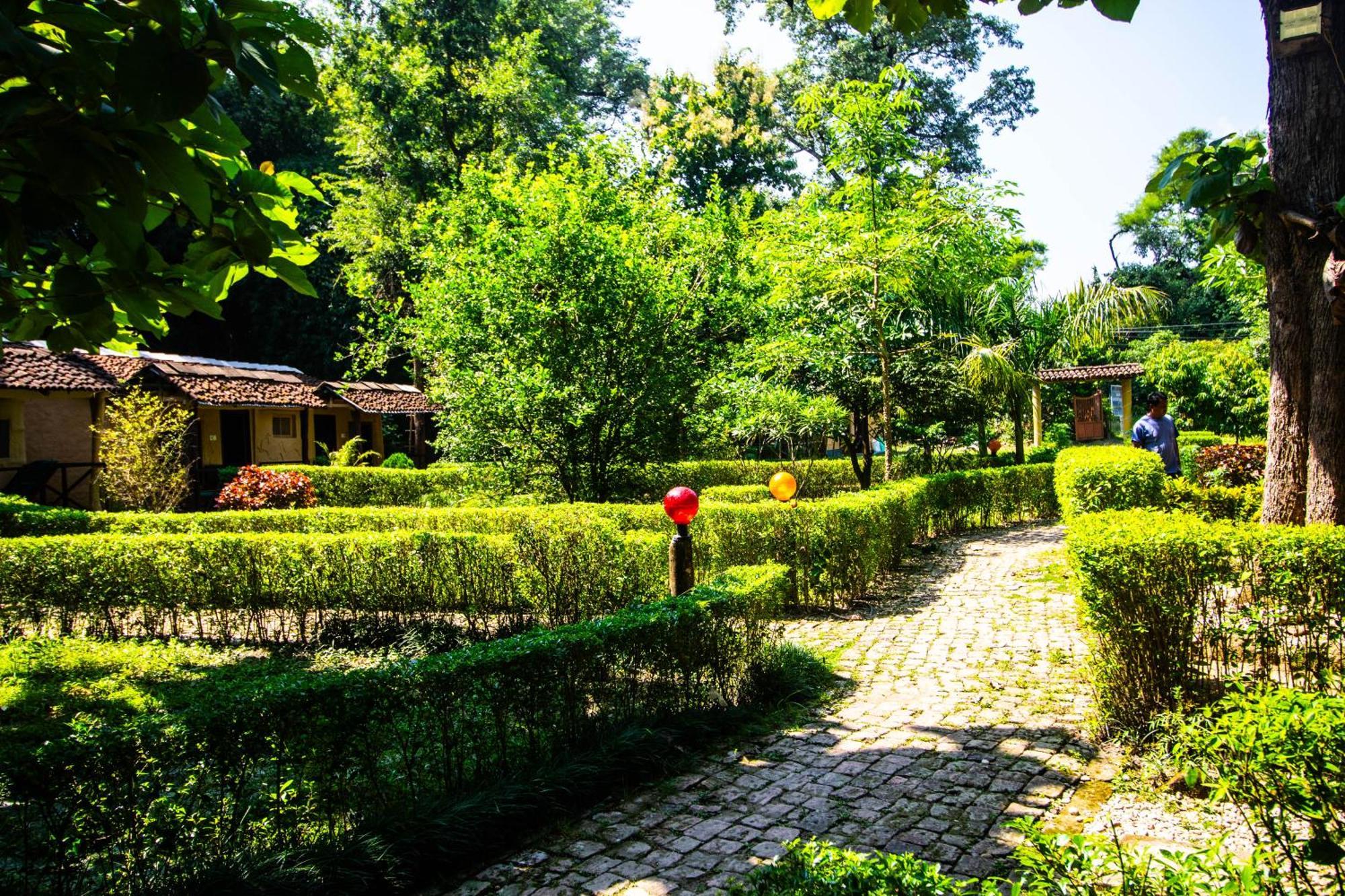 Wild Planet Eco Retreat Hotel Bardiya Exterior photo